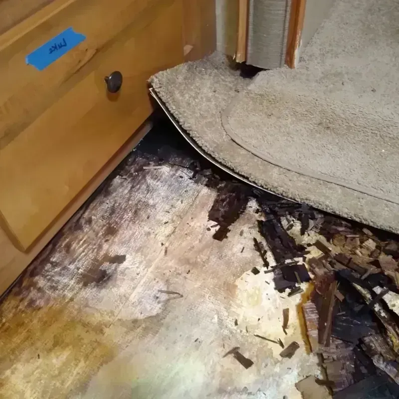 Best Wood Floor Water Damage Service in Skamania County, WA